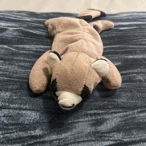 Ty Beanie Baby Ringo the Raccoon 1995